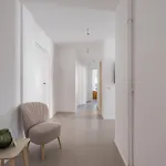 The Rent - Bright Near Pigneto